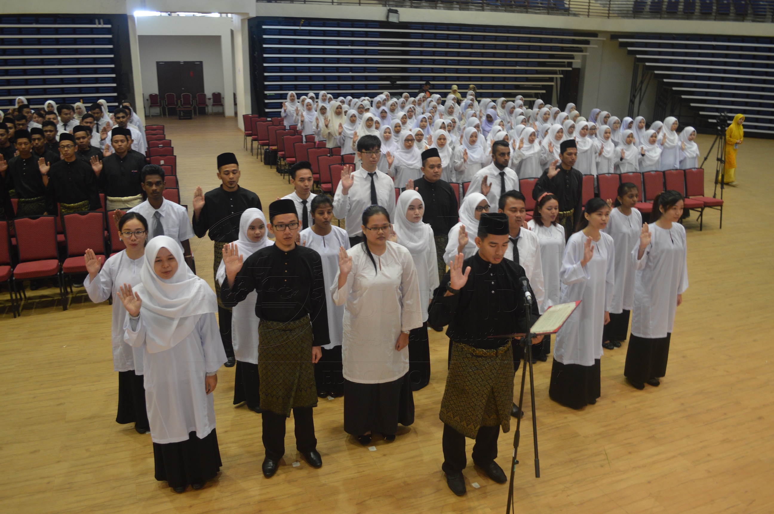 PRO16 15 ismp DSC 0367